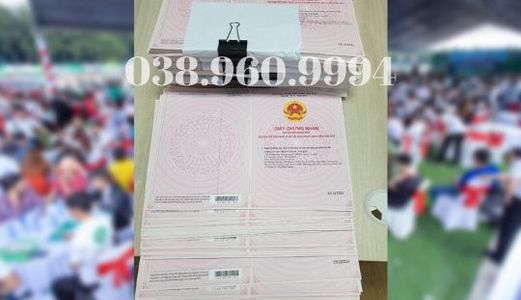 Cần Bán Gấp Lô Đất Gần Chợ Bến Cát – Giá 540 Triệu – Hỗ Trợ Trả Chậm 9 Tháng