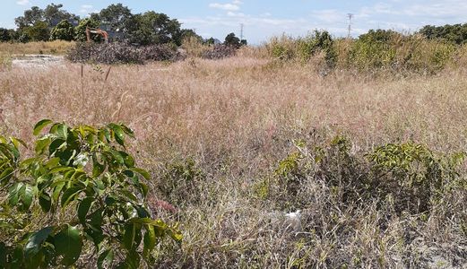 Cần Bán 1.5Ha Đất Nông Nghiệp Tại Bắc Bình - Bình Thuận 