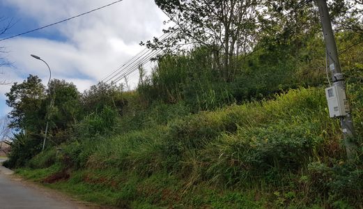 Bán Đất 2 Hầm View Cực Đẹp Mặt Tiền Đống Đa, Tp Đà Lạt, Giá 38Tr/m2