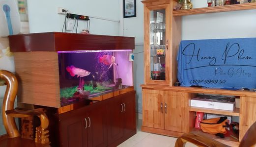 Bán Gấp Căn Nhà Cấp 4 Dt 113M2 Tại Phường Hố Nai Gần Nhà Thờ Lộc Lâm Giá Chỉ 1.6 Tỷ