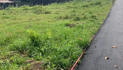 Bán Đất Thị Trấn Củ Chi Giá Rẻ 