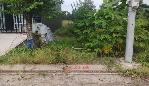 Đất Thổ Cư Hướng Đông Nam Vị Trí Cực Đẹp Sổ Đỏ Giao Ngay 75 Ngày Gần Sân Bay Qt Cần Thơ