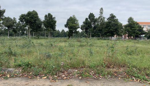 Đất Thổ Cư Hướng Đông Nam Vị Trí Cực Đẹp Sổ Đỏ Giao Ngay 75 Ngày Gần Sân Bay Qt Cần Thơ