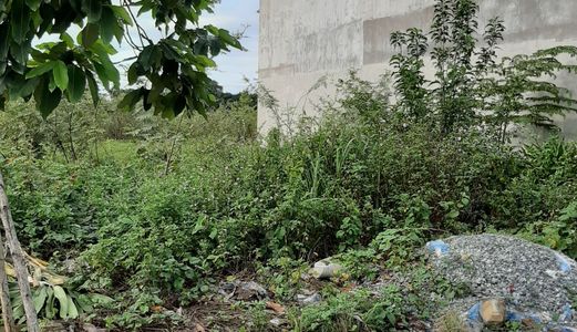 Bán Gấp Lô Đất Dt 100M2 Mặt Tiền Khu Dân Cư Song Ngữ Lạc Hồng Giá Chỉ 2.9 Tỷ