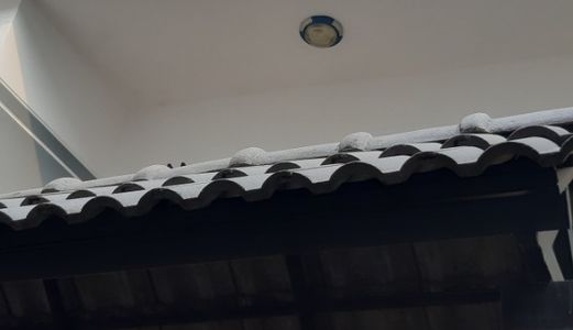 Bán Nhà Hẻm 160 Đường Số 4, Phường 16, Gò Vấp, 3,8 X 11,6M, Nở Hậu 9M, 2,5 Tấm, 4Pn
