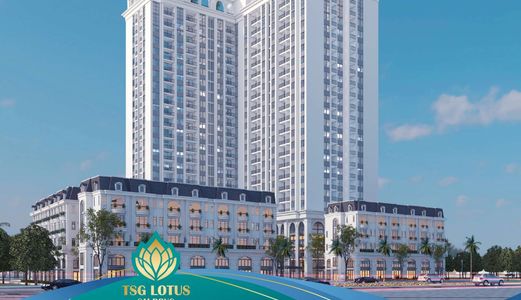 Chỉ Từ 570 Triệu Sở Hữu Căn Hộ Tsg Lotus Sài Đồng, Bàn Giao T3/2020, Hỗ Trợ Ls 0% Trong 18 Tháng