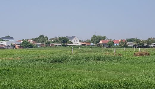 Đất Vườn Chợ Sáng Tân Thạnh Đông 1100M2 Giá 2,1 Tỷ Hẻm Đường 107 