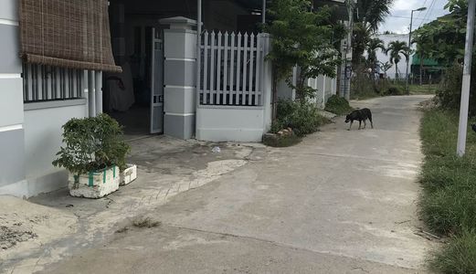 Bán Lô Đất Đẹp Nằm Đường Xuân Lạc Xã Vĩnh Ngọc Giá Rẻ Nhất Khu Vực Giá 950 Triệu.