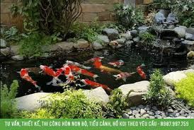 Đất Thuộc Khu Dân Cư Hiện Hữu, Cơ Sỡ Hạ Tuần Hoàn Thiện, Có Sổ Riêng Chính Chủ, Pháp Lý Rõ Ràng.