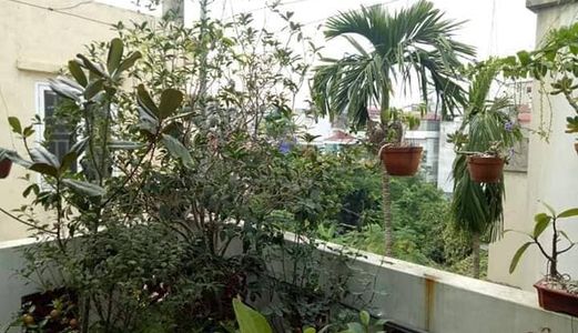 Bán Nhà Ngõ 285 Đội Cấn, Nhà Đẹp, Mới, Vị Trí Trung Tâm, 38M2X4 Tầng. Giá 3,85 Tỷ