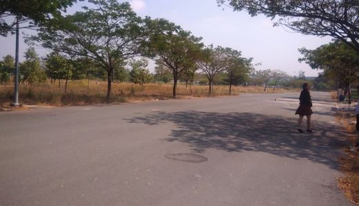 Đất Thổ Cư Cực Đẹp, Sổ Hồng Chính Chủ Tại Mặt Tiền Ql51