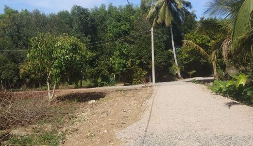 Cần Bán Miếng Đất Chính Chủ, Sổ Hồng Riêng Bao Sang Tên Ở Hưng Lộc, Thống Nhất Đồng Nai