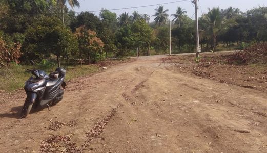 Cần Bán Vườn Sổ Hồng Riêng , Bao Sang Tên Ở Hưng Lộc, Thống Nhất, Đồng Nai