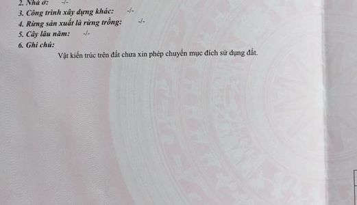 Cần Bán Đất Vườn Cây Ăn Trái - Thành Phố Mỹ Tho, Tiền Giang