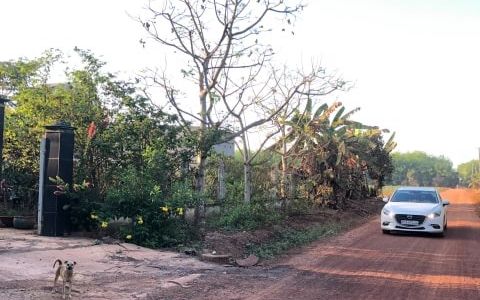 Cần Bán Đất Dầu Tiếng Bình Dương Giá Rẻ 298 Triệu/1000M2, Sổ Hồng Riêng