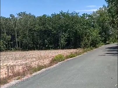 Kẹt Tiền Bán Đất Dầu Tiếng Bình Dương Giá Rẻ 290 Triệu/1000M2