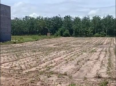 Kẹt Tiền Bán Đất Dầu Tiếng Bình Dương Giá Rẻ 290 Triệu/1000M2