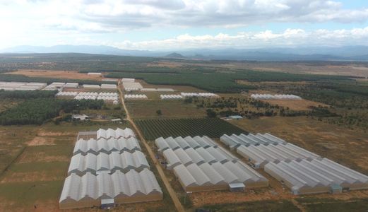 Đất Trồng Cây Ở Bắc Bình, Giá 50-70 Ngàn/m2, Sổ Riêng Chính Chủ