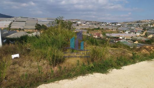 Cần Bán Đất Nam Hồ - F11- Tp.đà Lạt