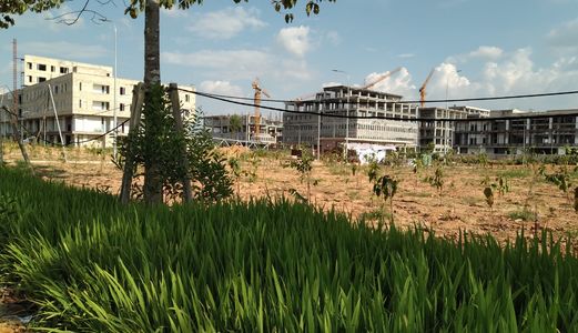 Kinh Doanh Thua Lỗ Bán Lại 300M2 Đất Cạnh Đh Việt Đức Đang Xây