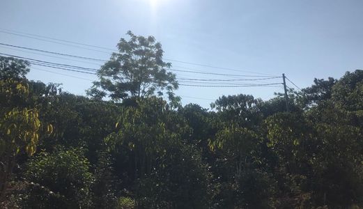 Khu Nghỉ Dưỡng Bảo Lộc Lâm Đồng 5400M2