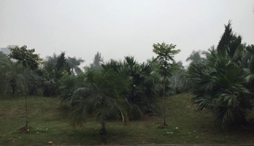 Trần Quang Diệu: 42M2, 5T,mt 5M, Phân Lô, Ô Tô, Sát Vườn Hoa, 5.9 Tỷ, Làm Vp…