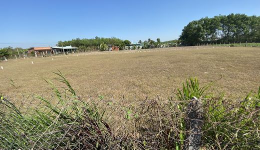 Bán Lấy Lộc Đầu Năm Lô Đất Tphcm Diện Tích 1000M2 Giá 1Tỷ250 Liên Hệ: 0903034715(Văn)