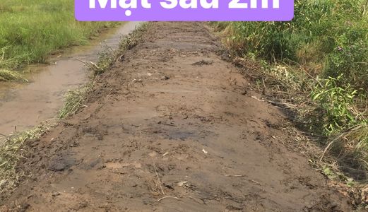 Bán 1000M2 Đất Vườn Ấp 2 Bình Đức, Bến Lức, Long An. Giá 450 Triệu. Cách Đê Kênh Biện Cung 250M.