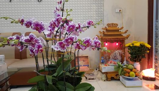 Siêu Hiếm Hà Đông, Ô Tô Vào Nhà, Ở Víp, Kd,vp Cực Đẹp, 65M2, Chỉ 5.8 Tỷ – Liên Hệ: 0375063926