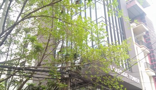 Cho Thuê Văn Phòng Giá Rẻ Gần Trường Đại Học Ngoại Thương