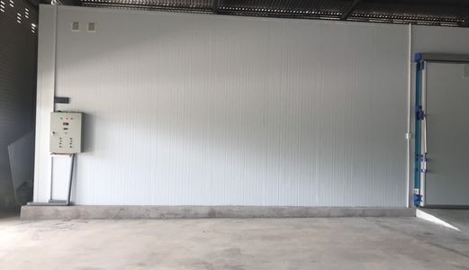 Xưởng Thanh Long Ngộp Cần Bán Gấp Để Trả Nợ 2.7 Sào Xây Dựng Sẵn Vào Sản Xuất Ngày