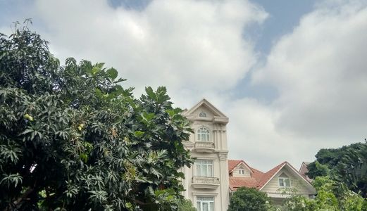 Bán nhà Mặt Tiền Tân Bình Đường Cmt8, Diện tích 80 M2, Giá 19,5 Tỷ