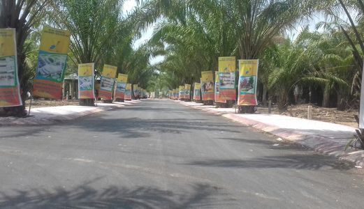 Chính Chủ Cần Ra Gấp 4 Lô Đất Đầu Tư Sinh Lời Cao