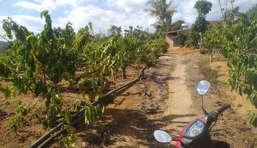 Cần Bán Đất Gần Thị Trấn Nam Ban Lâm Hà Lâm Đồng