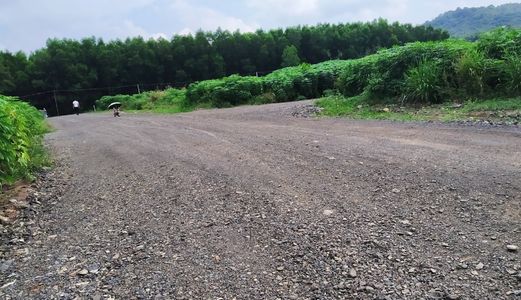 Bán Đất Thị Trấn Phước Bửu, Xuyên Mộc, Bà Rịa Vũng Tàu, Hơn 500M2