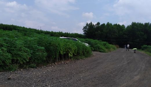 Bán Đất Thị Trấn Phước Bửu, Xuyên Mộc, Bà Rịa Vũng Tàu, Hơn 500M2