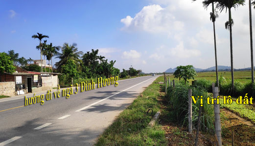 Bán 10.000M2 Đất Thương Mại Dịch Vụ 50 Năm Mặt Tiền Đường Vành Đai Đông Tây - Đông Lĩnh - Thanh Hóa