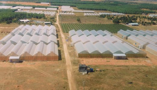 5000M2 Đất Bình Thuận Có Sổ Hồng Giá Chỉ 350 Triệu Công Chứng Trực Tiếp