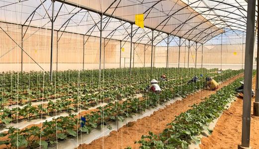 Sỡ Hữu 3000M2 Đát Gần Biển Giá Chỉ 210 Triệu