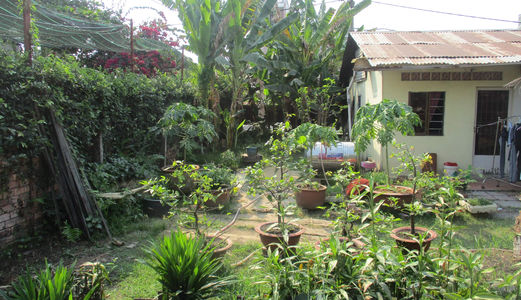 Nhà Vườn Thủ Đức - Mặt Tiền Đường Cách Vành Đai 3 Vài Trăm Mét - Full Thổ Cư