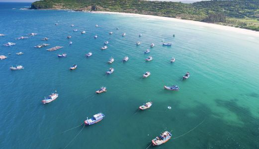 Chỉ Cần Thanh Toán 90Tr, Sở Hữu Ngay Đất Mt Ven Biển Quy Nhơn - Bình Định, Sổ Đỏ Lâu Dài