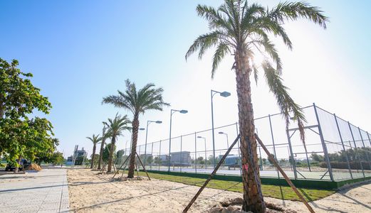 Đất Nền Ven Biển Đầ Nẵng Giá Rẻ Mùa Dịch Chỉ 1,9 Tỷ/lô