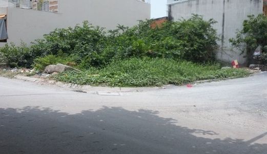 Bán Đất Tại Đường Trần Văn Giàu - Bình Chánh