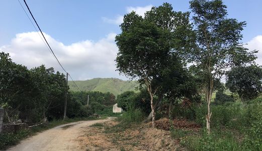 Bán Đất Thôn 4 Hoành Bồ Cách Cầu Bang Chưa Đầy 2Km - Đường Bê Tông Ô Tô Vào Tận Nhà