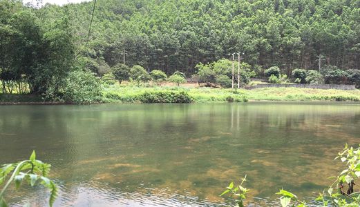 Bán Ô Đất Hoa Hậu Cạnh Suối Ở Thôn Lưỡng Kì - Xã Thống Nhất - Hoành Bồ Giá Chỉ 3Tr/m2