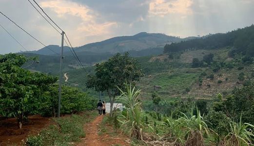 Cần Bán Lô Đất View Đôi Núi Sông Suối Giá Đầu Tư 