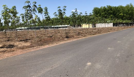 Bán Đất Vườn Chơn Thành, Bình Phước | Diện Tích 1033M2| Giá 550 Triệu 