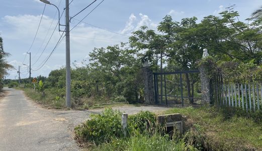 Chính Chủ Bán 5Ha Đất Làm Dự Án Gần Ngã Tư Tân Quy, Tỉnh Lộ 15, Xã Tân Thạnh Tây, Củ Chi.