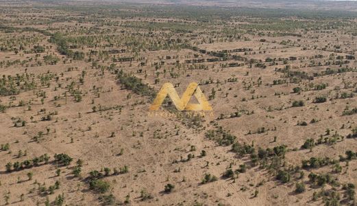 Đất Vàng Bình Thuận Siêu Rẻ 100% Lợi Nhuận Chỉ 600Tr Cho 1 Ha 