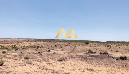 Cần Bán Đất Gấp Để Trả Nợ Đất Ven Biển Bình Thuận 